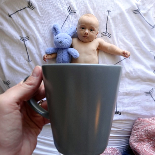 Babe and a bunny in a mug: @alilepa