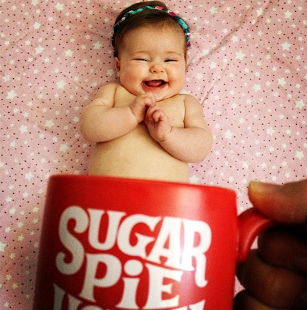 Sugar Pie in a mug: @tmcdon