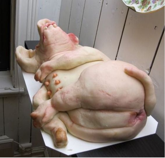 Bolo em forma de um Porco